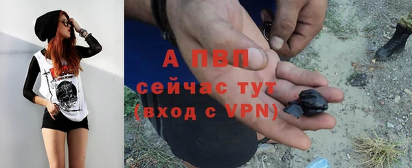 трава Абаза