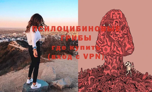 трава Абаза