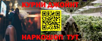 a pvp Дубна
