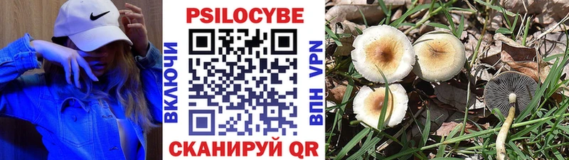 закладки  Нижний Новгород  Галлюциногенные грибы MAGIC MUSHROOMS 