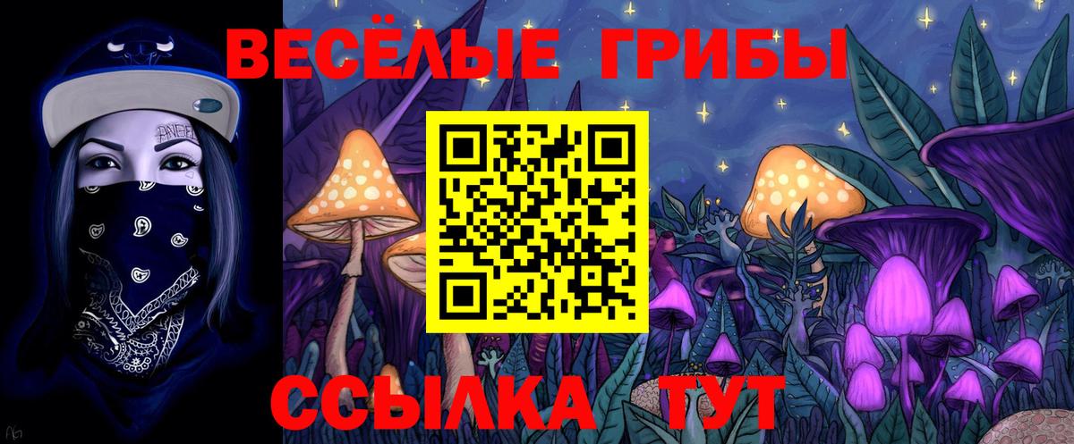 Нижний Новгород  купить  сайты  Галлюциногенные грибы GOLDEN TEACHER  Вход с VPN  Псилоцибиновые грибы прущие грибы 